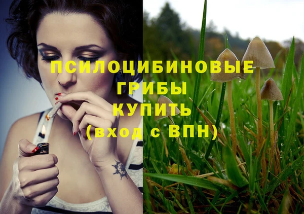 мескалин Карпинск