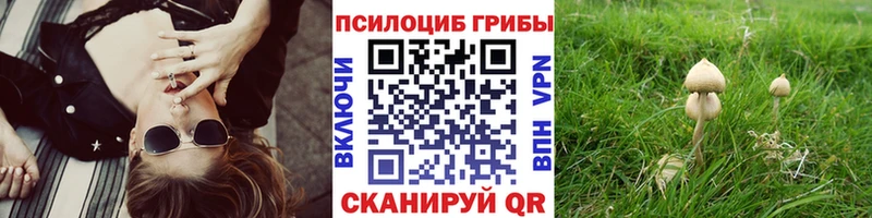 Купить  Железноводск  Псилоцибиновые грибы мухоморы 